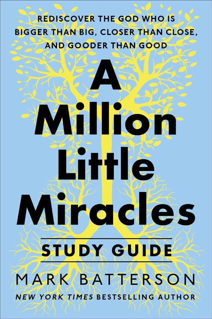 Million Little Miracles Workbook, A
