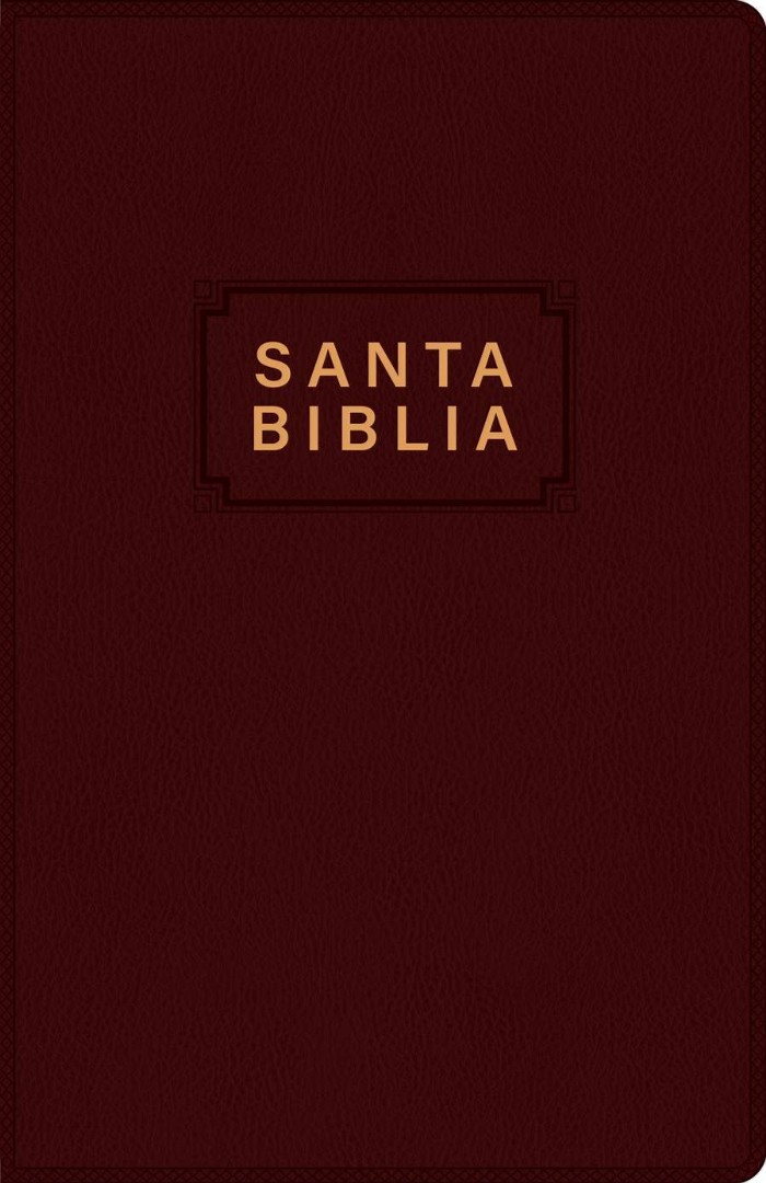 Santa Biblia NTV, Edición Premio Y Regalo, Vinipiel