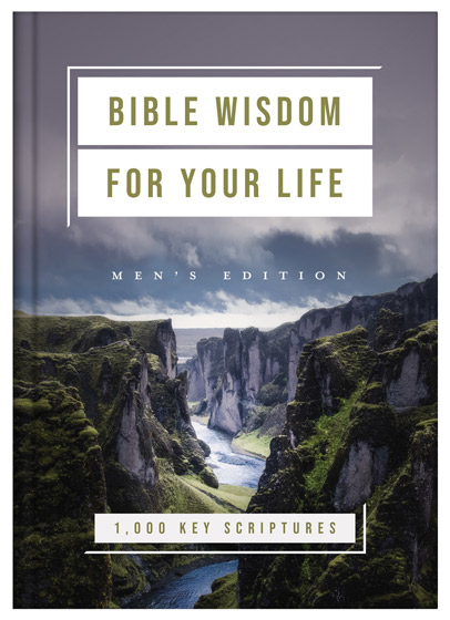 Bible Wisdom For Your Life: Men'S Edition