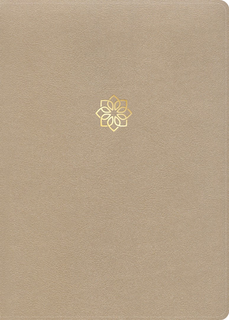 CSB Study Bible, Large Print Edition, Gold Leathertouch