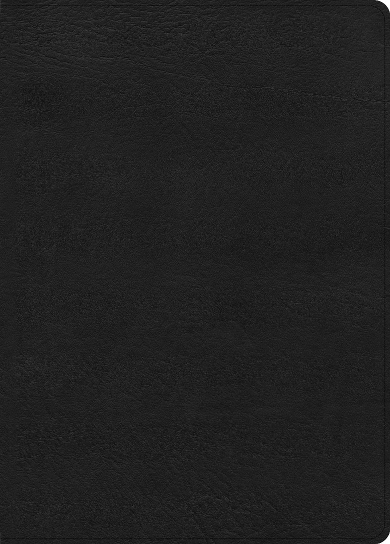 CSB Study Bible, Large Print Edition, Black Leathertouch