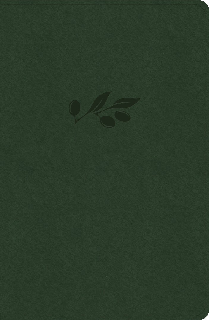 NASB Personal Size Giant Print Bible, Olive, Indexed