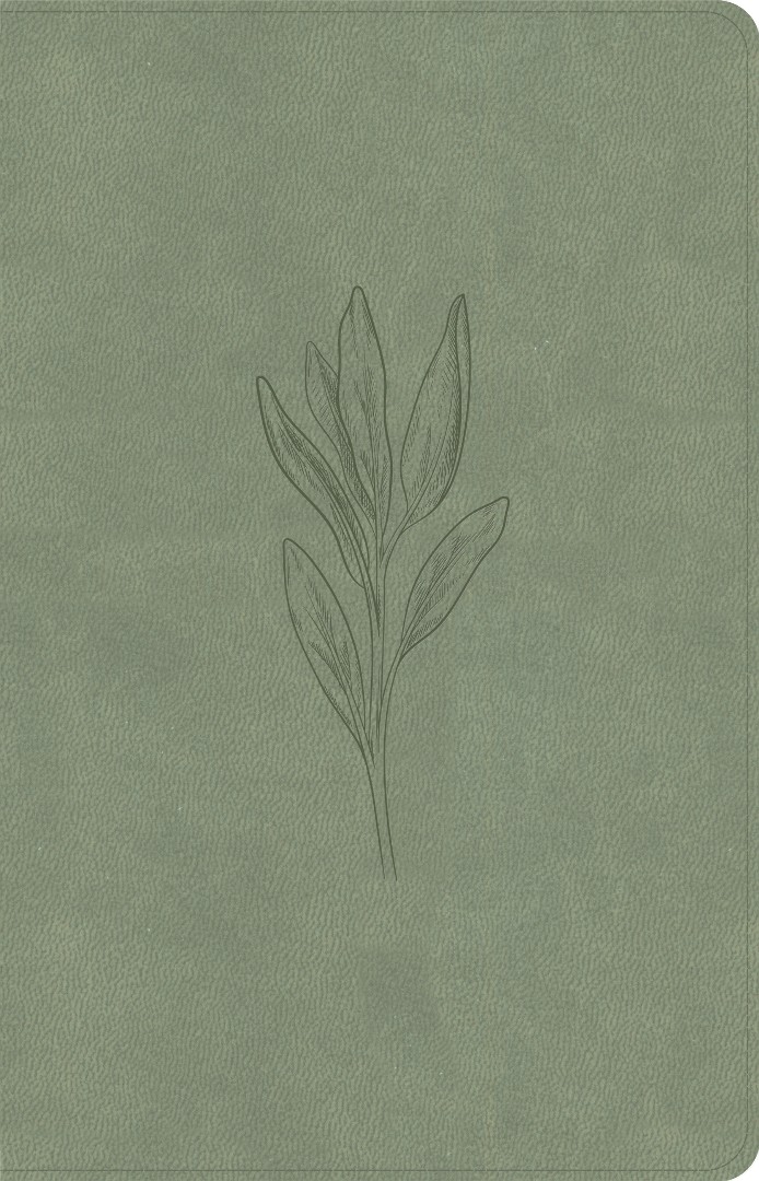 KJV Thinline Bible, Sage Suedesoft Leathertouch