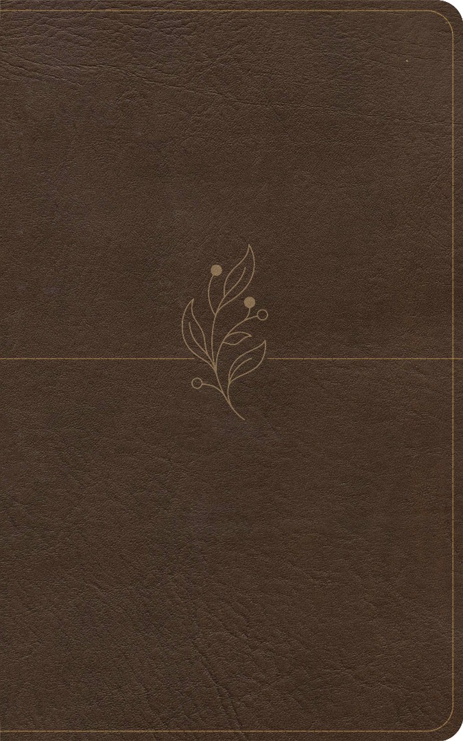 CSB Single-Column Personal Size Bible, Digital Study Edition