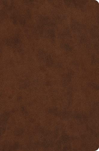ESV Value Compact Bible, Red Letter, Brown