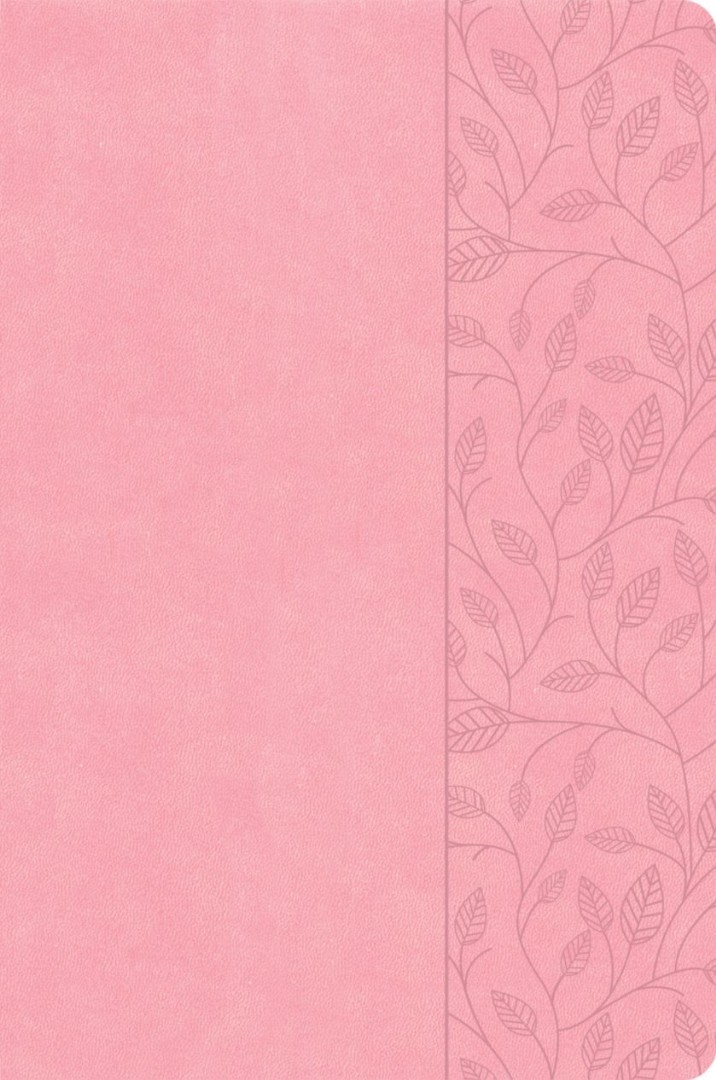 CSB Large Print Thinline Bible, Value Edition, Soft Pink