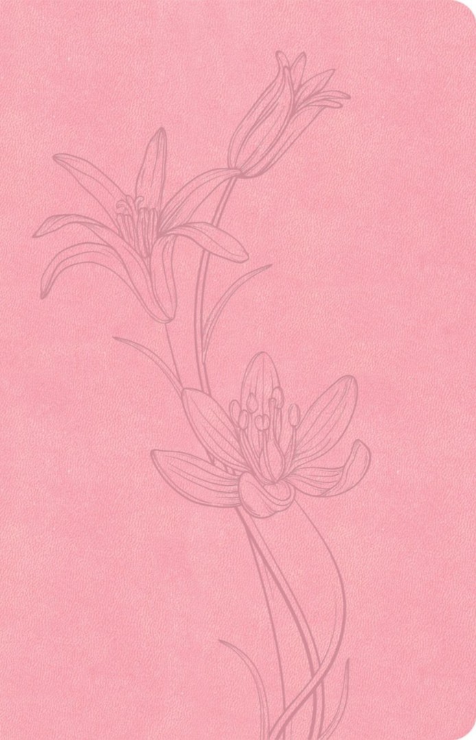 CSB Thinline Bible, Value Edition, Soft Pink Leathertouch
