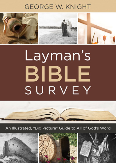 Layman'S Bible Survey Pb