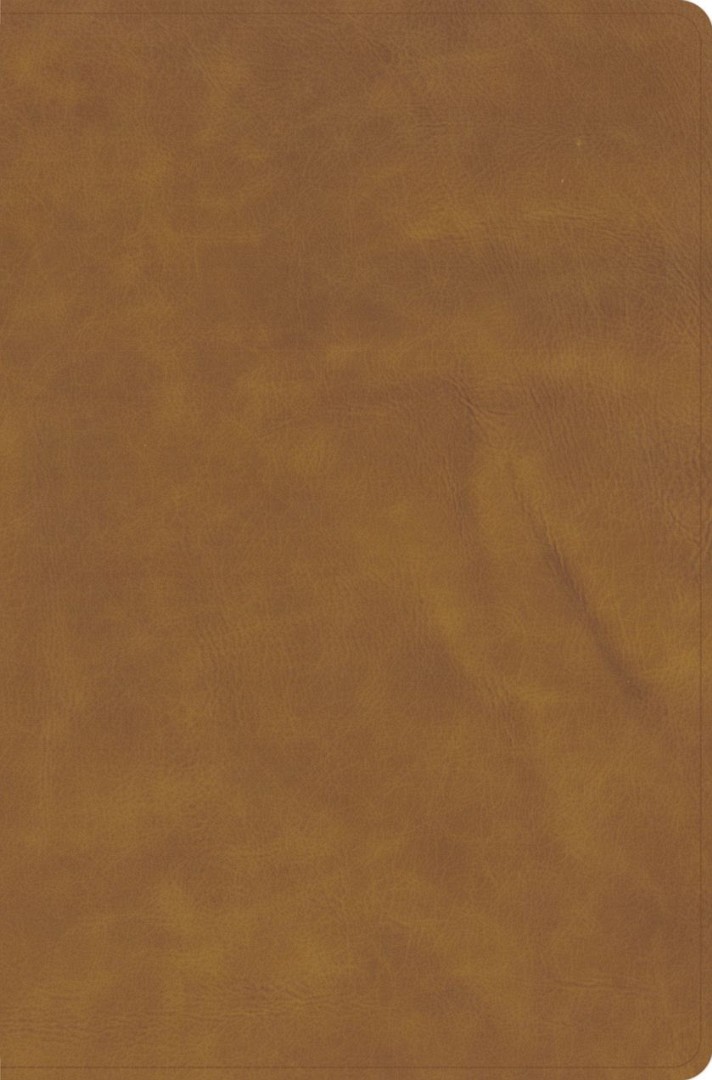 NASB Large Print Thinline Bible, Marbled Chestnut