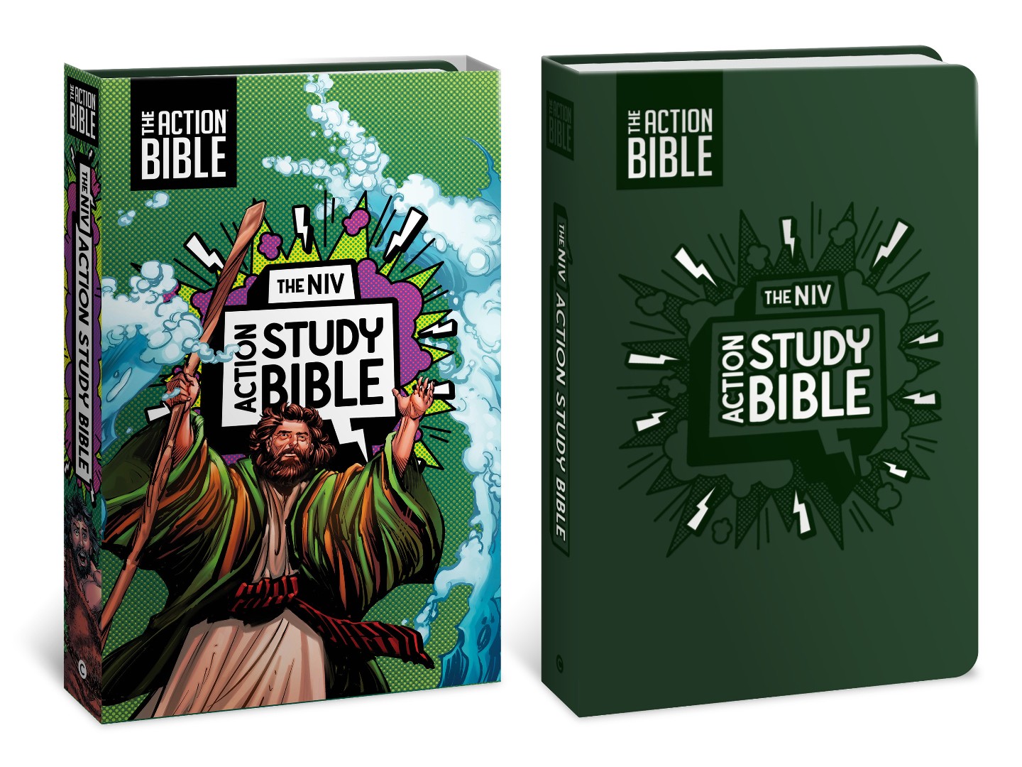 NIV Action Study Bible, Leathersoft, Forest, Full Color