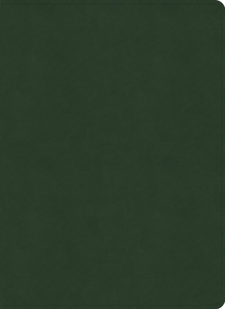 NASB Study Bible, Olive Leathertouch