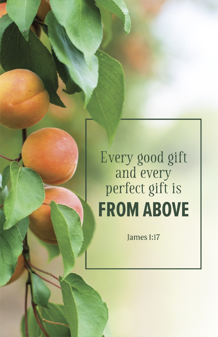 Evangelism Bulletin: Every (Pack of 100)