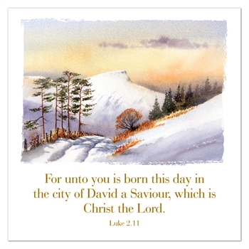 For Unto You is Born... Christmas Cards (pack of 6)