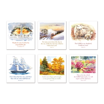 Mixed Greeting Cards (pack of 6)