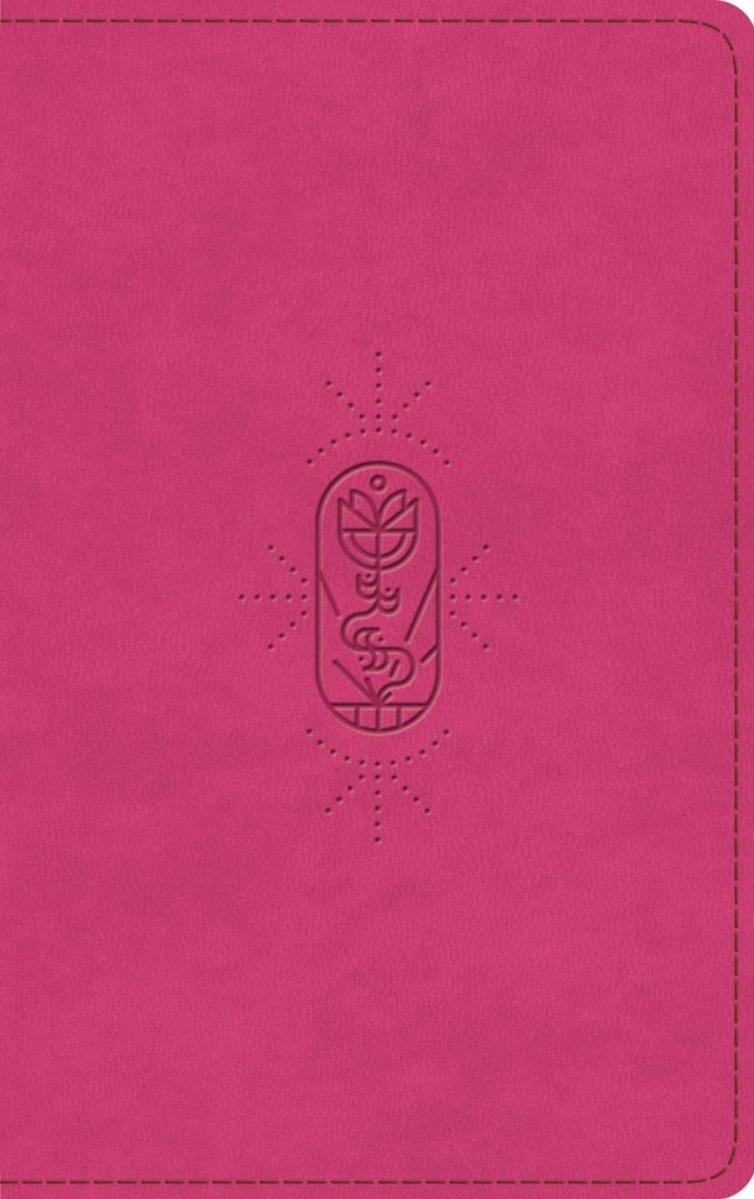 ESV Holy Bible for Kids, Berry, the True Vine Design