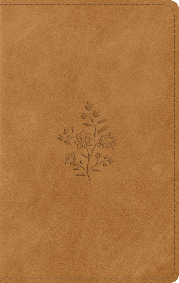 ESV Giant Print Personal Size Bible, Nubuck Caramel