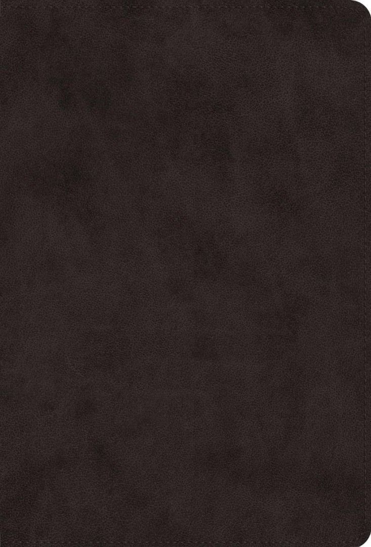ESV Giant Print Value Thinline Bible, Black