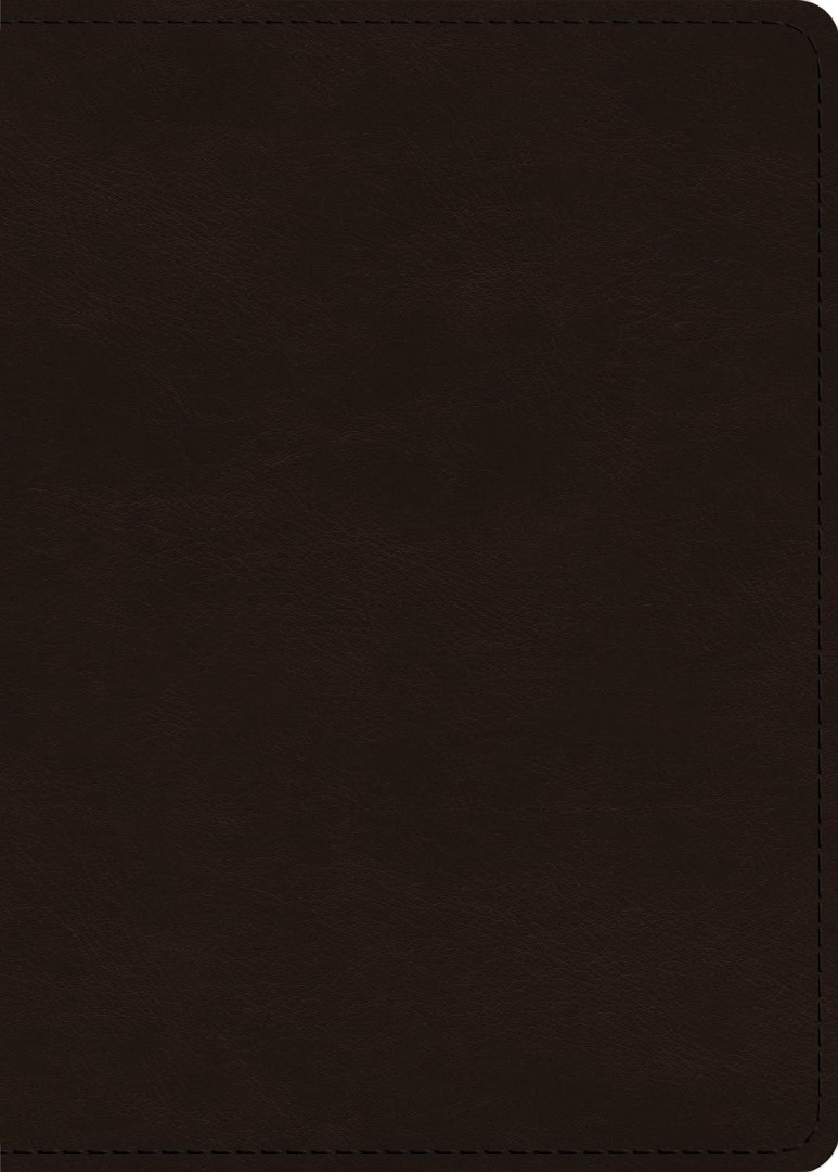 ESV Large Print Value Personal Size Bible, Red Letter
