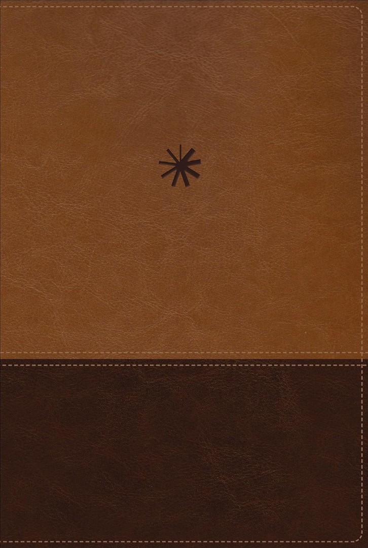 NBLA, Biblia CronolóGica De Estudio, Interior A Cuatro Color