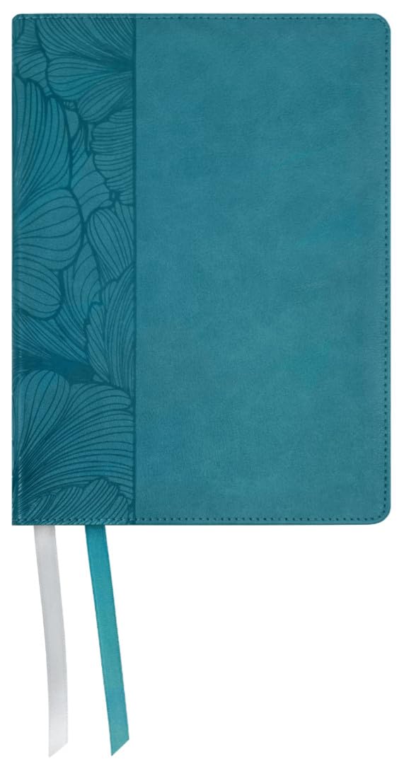 NASB 2020 The Beauty of Scripture, Teal