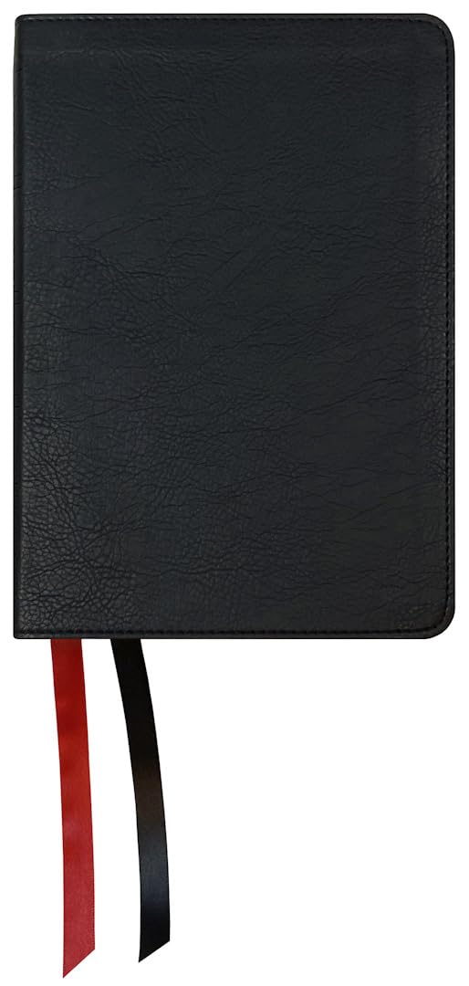 NASB 2020 Large Print Compact Bible, Black