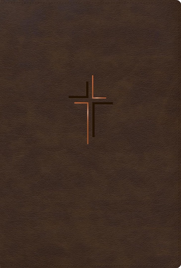RVR 1960 Biblia Letra Grande, Tamaño Manual