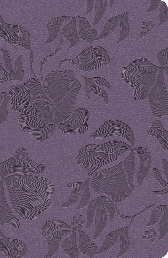 CSB Large Print Personal Size Reference Bible, Purple