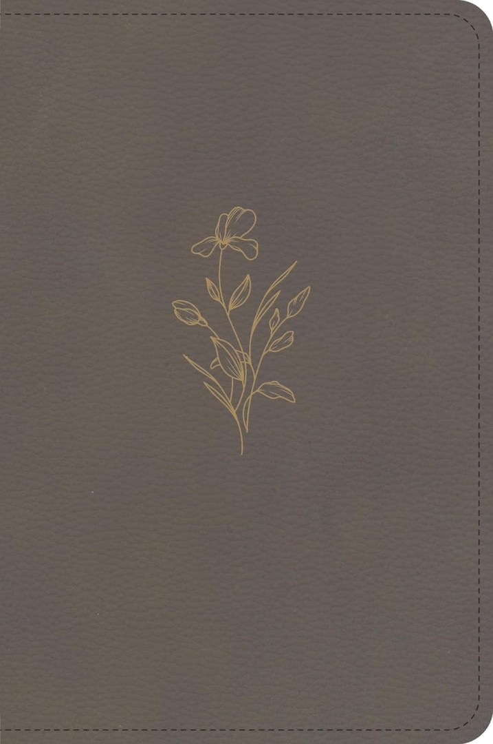 KJV Large Print Compact Reference Bible, Clay