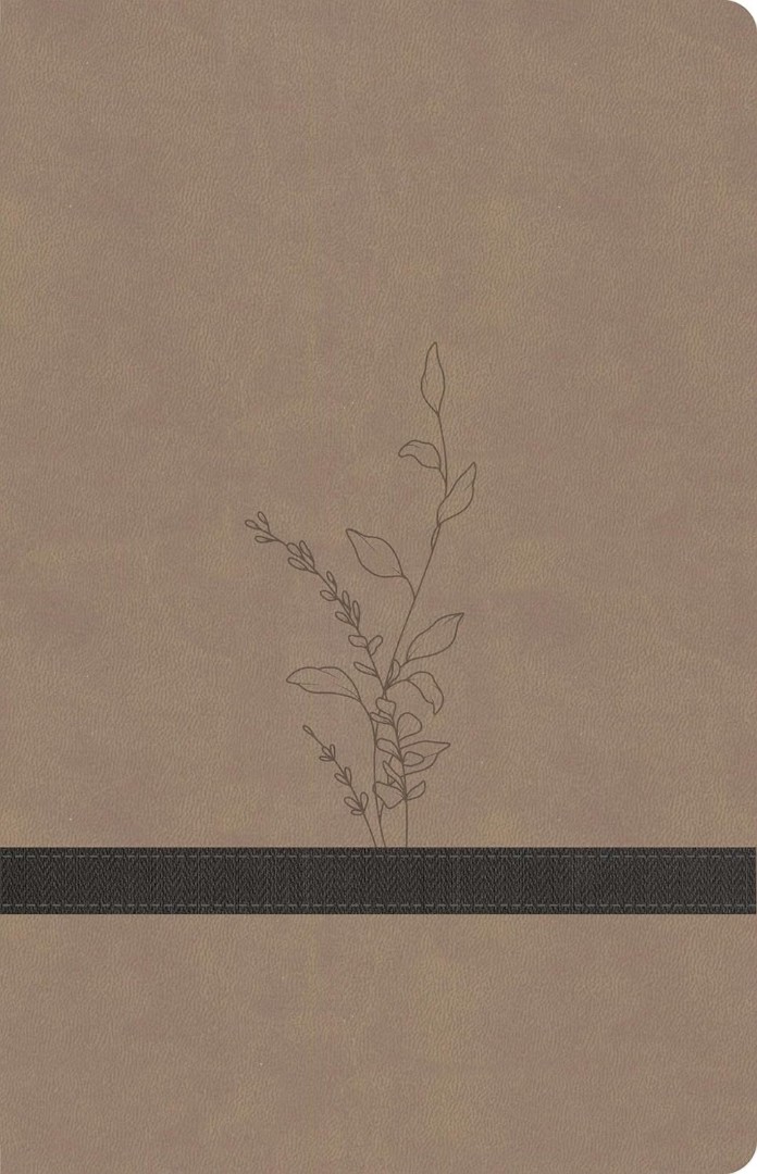 KJV Large Print Personal Size Reference Bible, Earthen Suede
