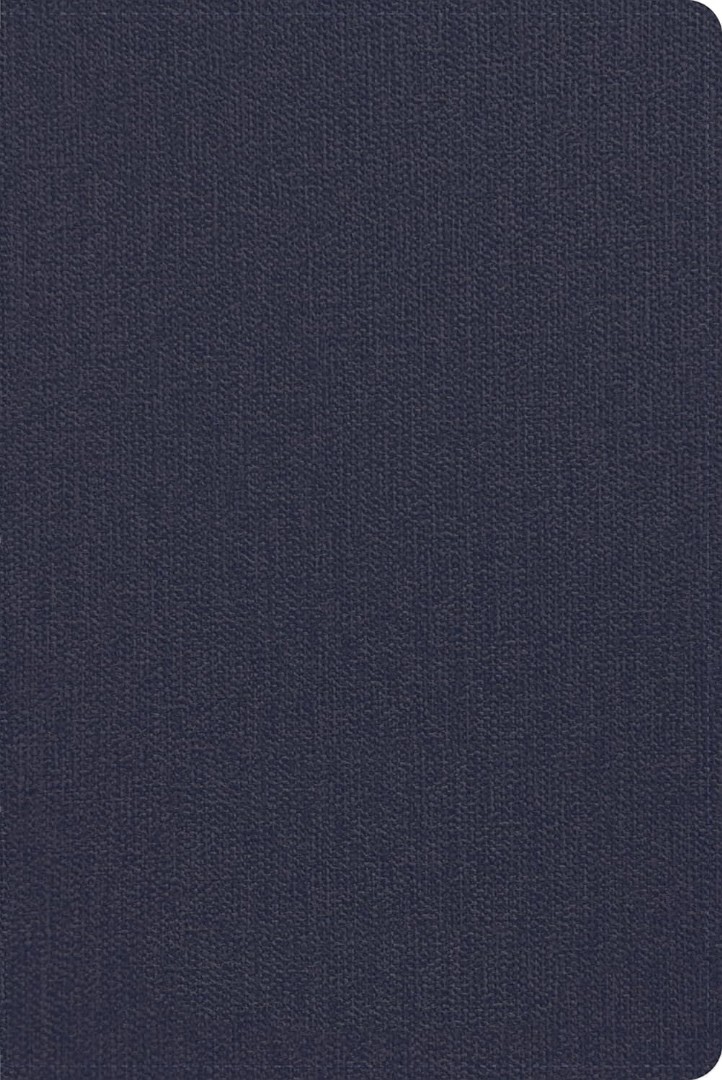 CSB Men's Daily Bible, Blue