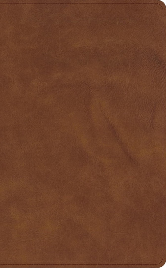CSB Single-Column Wide-Margin Bible, Tan Calfskin
