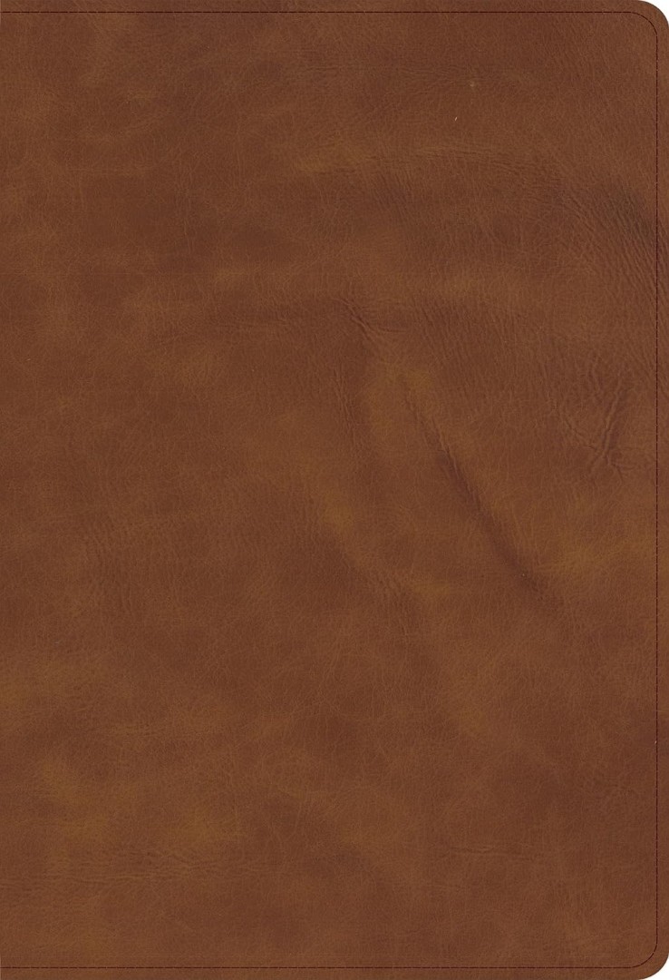 CSB Single-Column Compact Bible, Zipper Closure, Tan