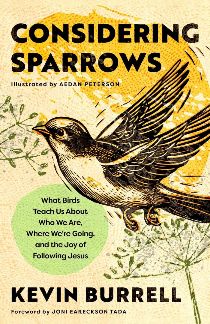 Considering Sparrows