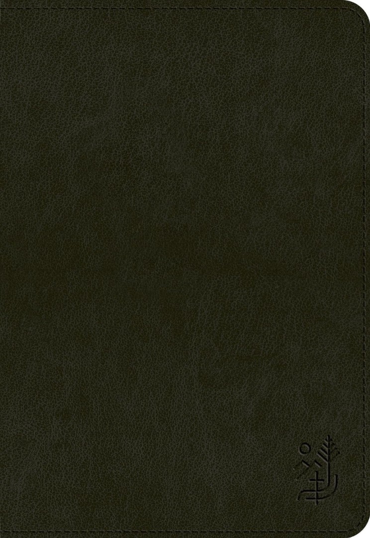 ESV Applying the Gospel Study Bible for Men, Black