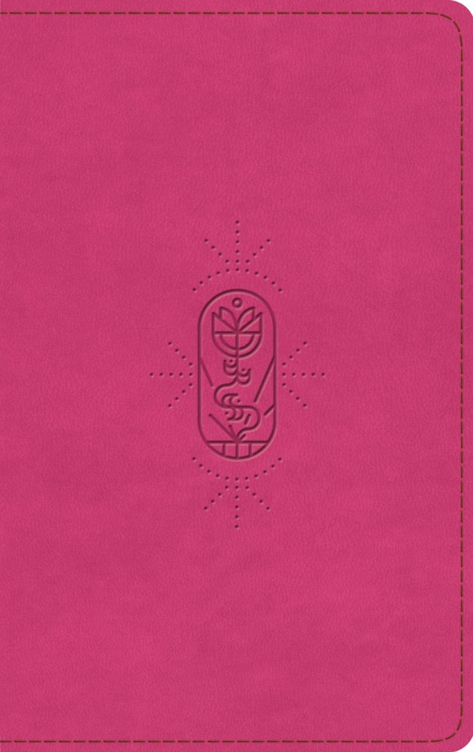 ESV Kid's Bible, Thinline, Red Letter, Berry