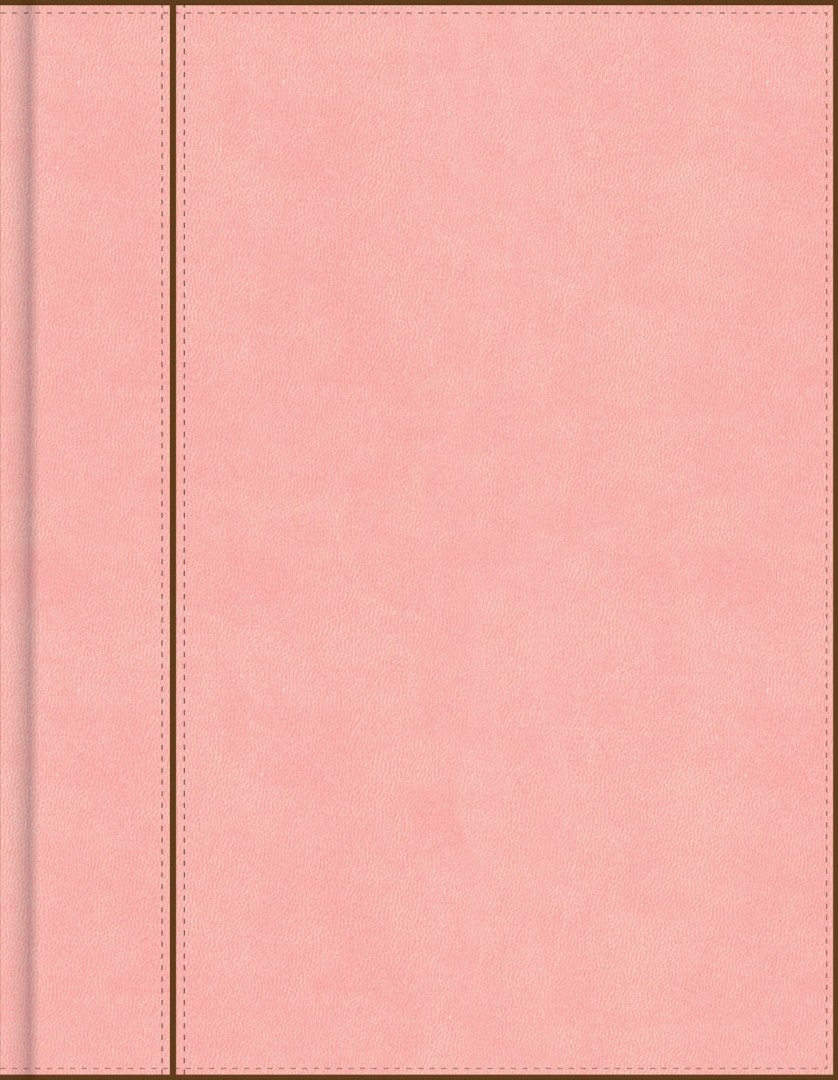 CSB Notetaking Bible, Pink Leathertouch