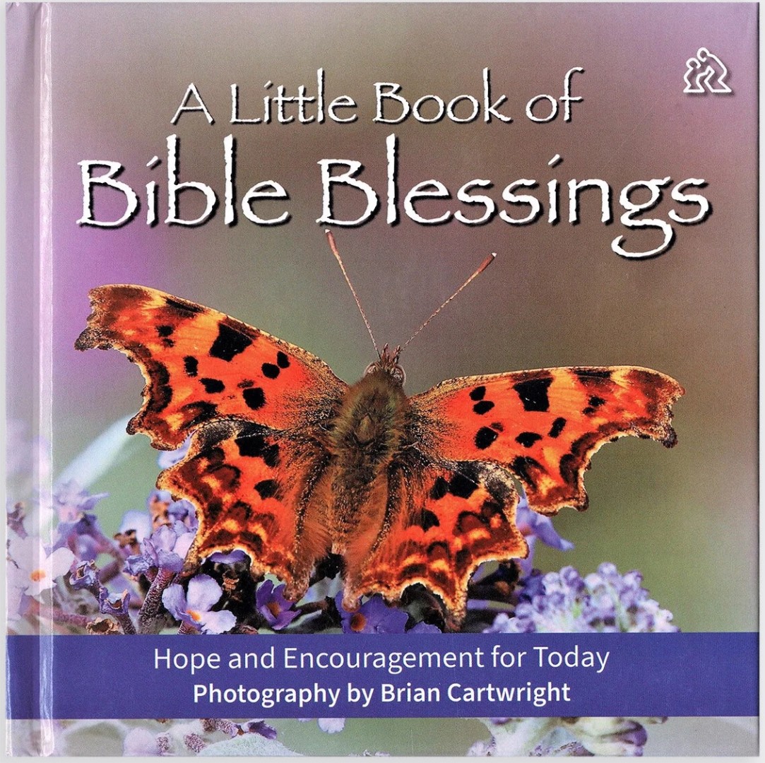 Little Book of Bible Blessings