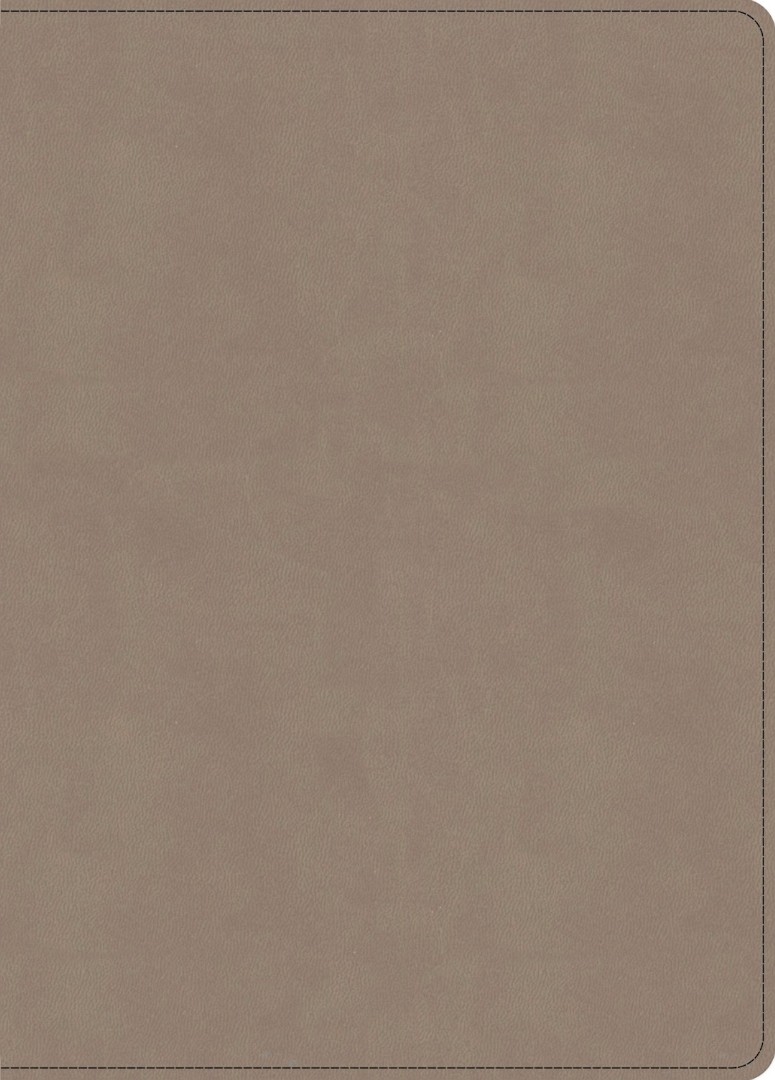 KJV Single-Column Wide-Margin Bible, Sand Leathertouch