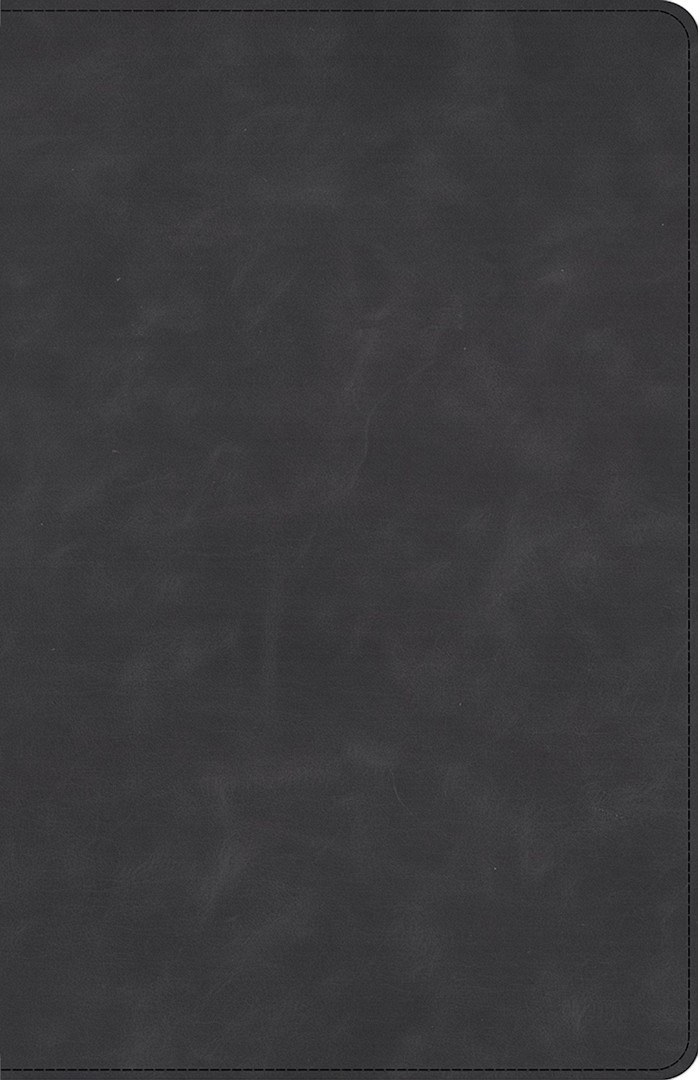 CSB Large Print Personal Size Reference Bible, Slate