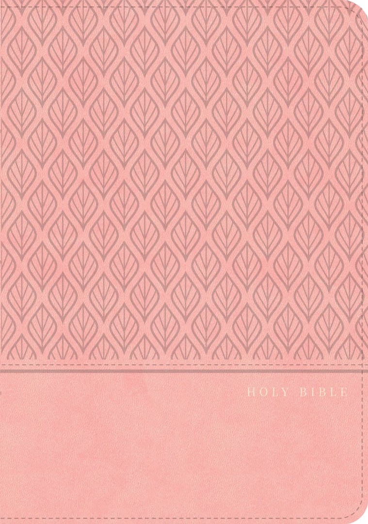 CSB Personal Size Giant Print Bible, Digital Study Ed., Pink