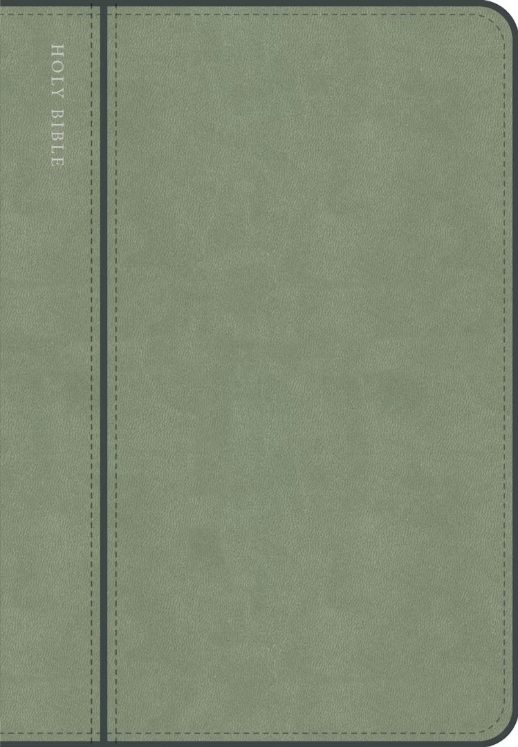 CSB Personal Size Giant Print Bible, Digital Study Ed., Sage