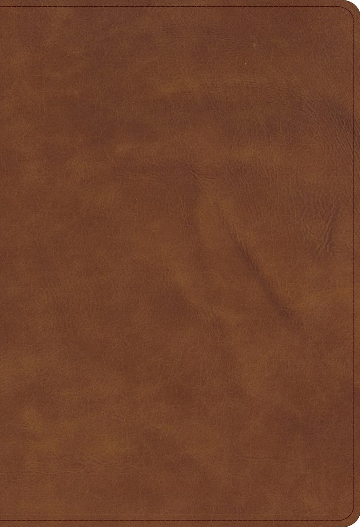 CSB Thinline Bible, Optimal Type, Marbled Chestnut Calfskin