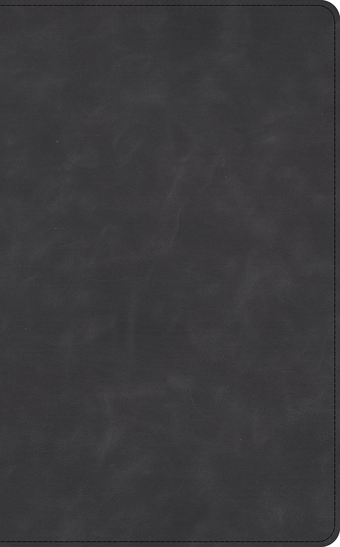 CSB Thinline Bible, Optimal Type, Marbled Slate Calfskin