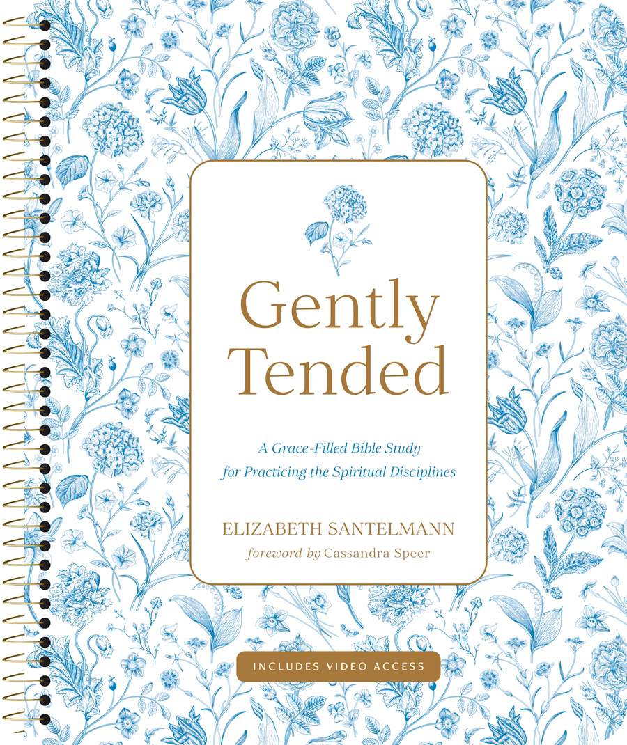 Gently Tended with Streaming Video Access
