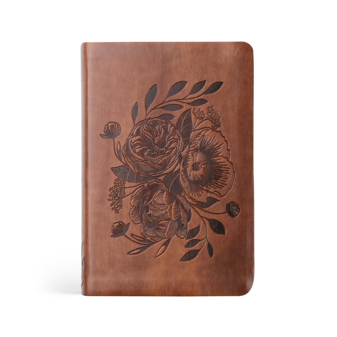 NLT Compact Bible: Aurora Theme