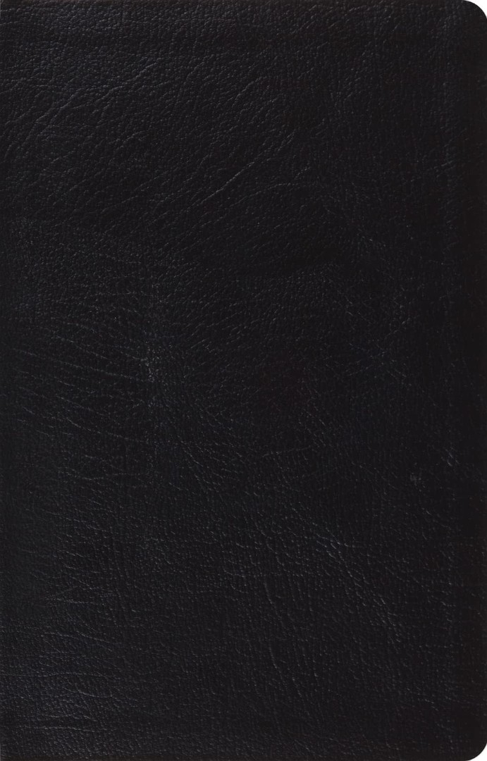 ESV Large Print Thinline Reference Bible, Red Letter