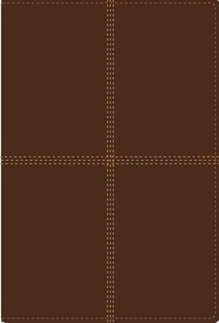 RVR 1960 NIV Bilingual Bible - Biblia Bilingue