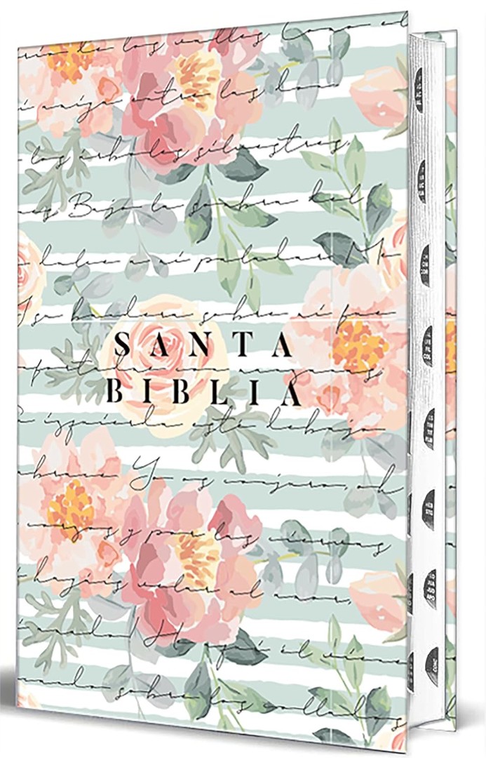 Biblia Reina Valera 1960 Letra Grande