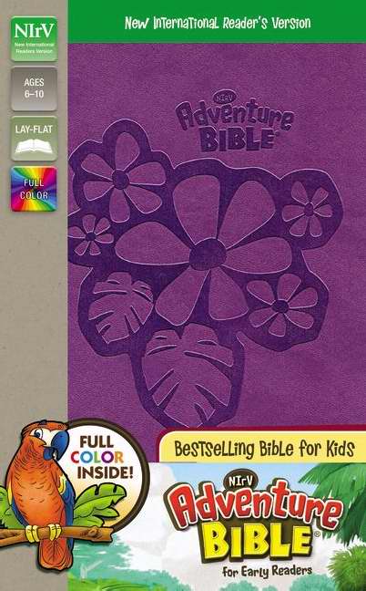 NIRV Adventure Bible For Early Readers