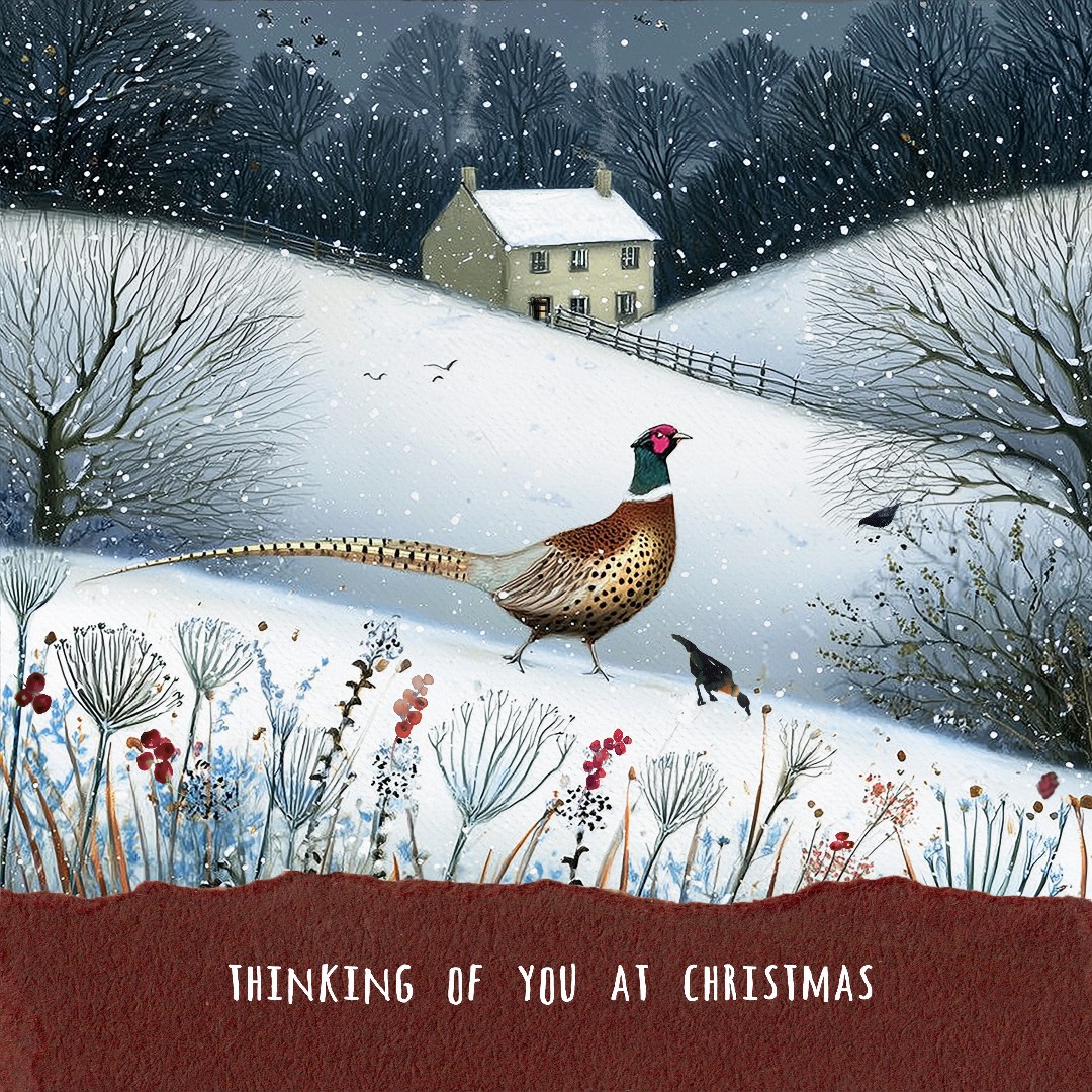 Pheasant Christmas Card
